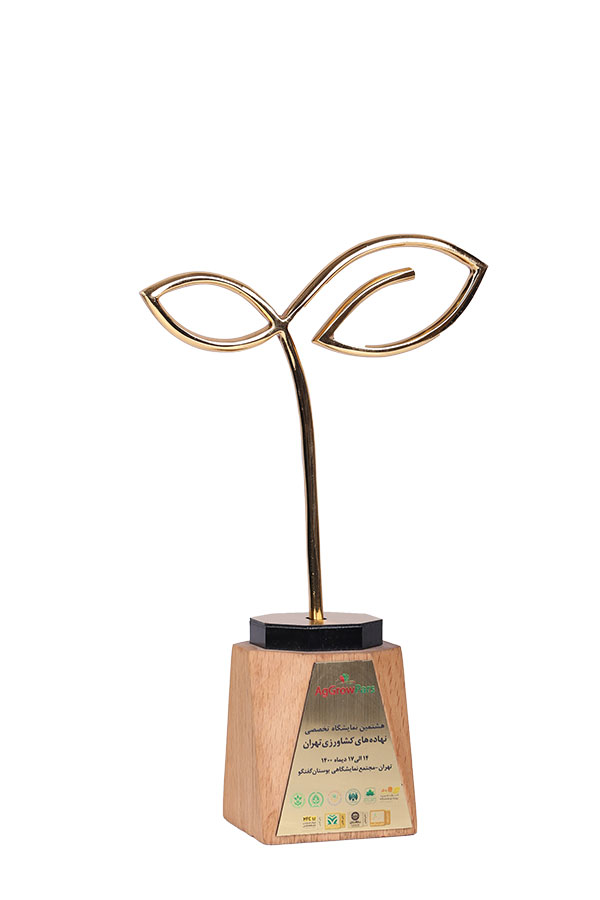 گواهینامه 4