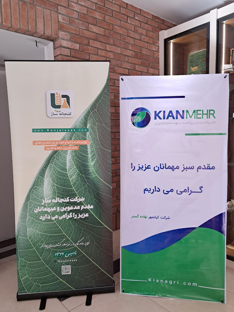 تصویر 6 از 20