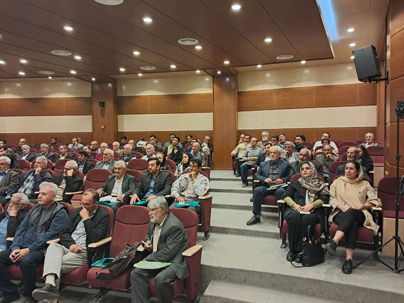 تصویر 10 از 16