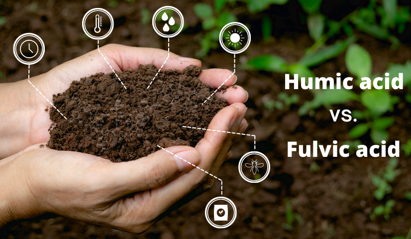 کود هیومیک اسید